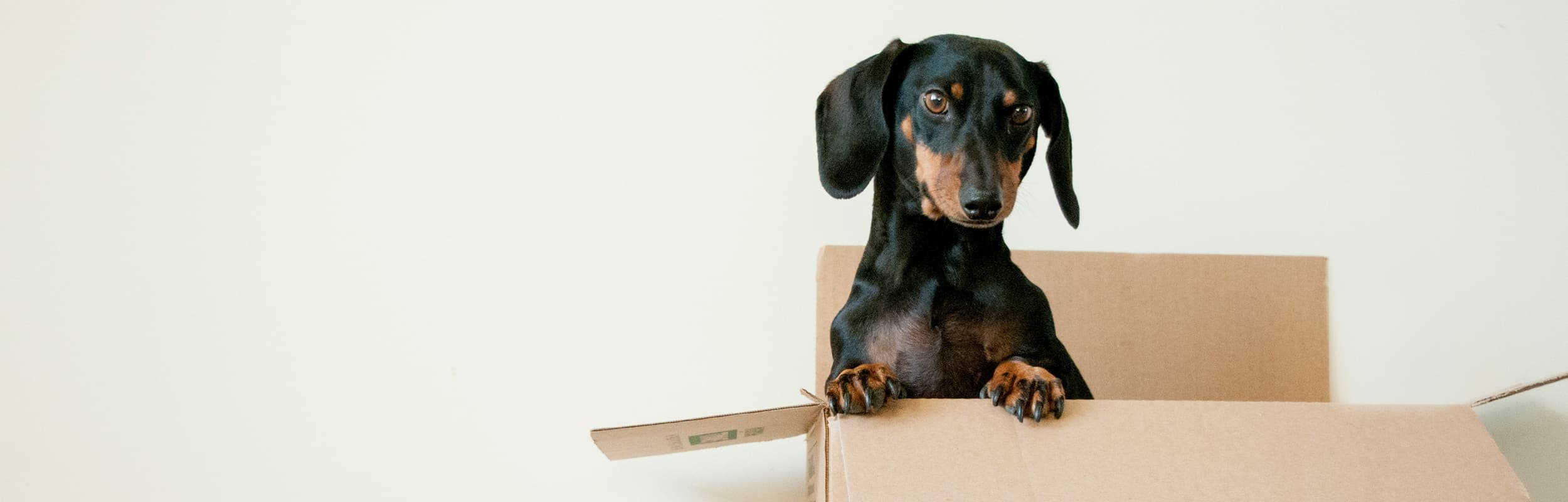 Richardson Moving & Storage