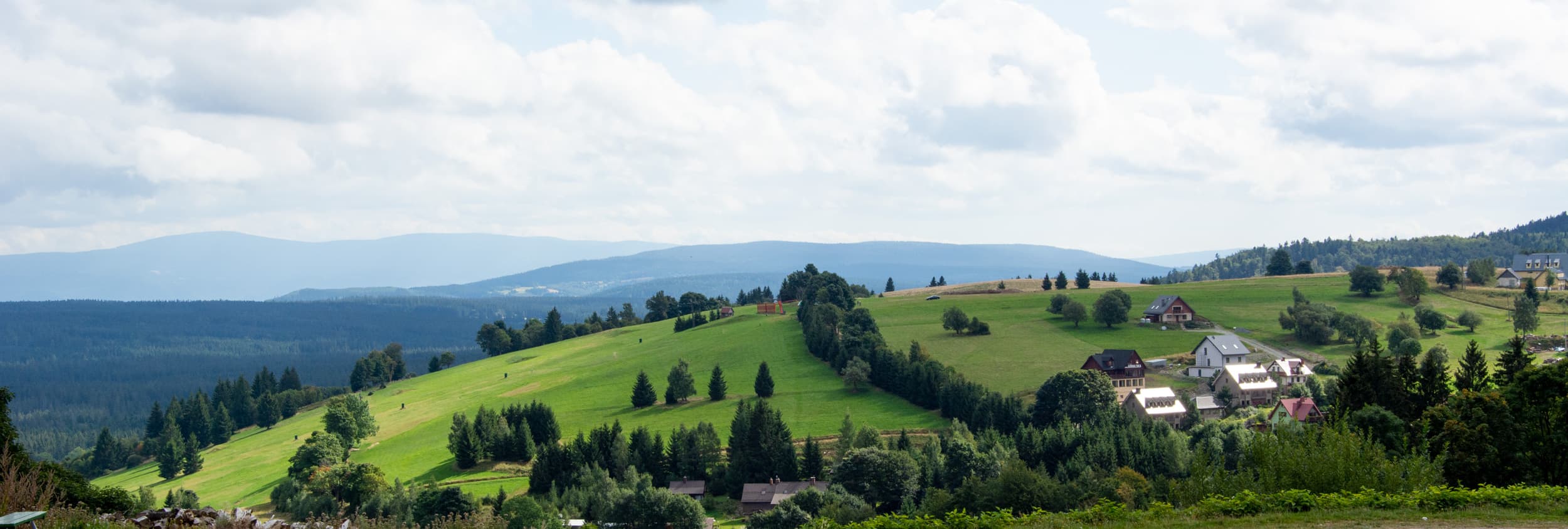 Alpejski Zieleniec