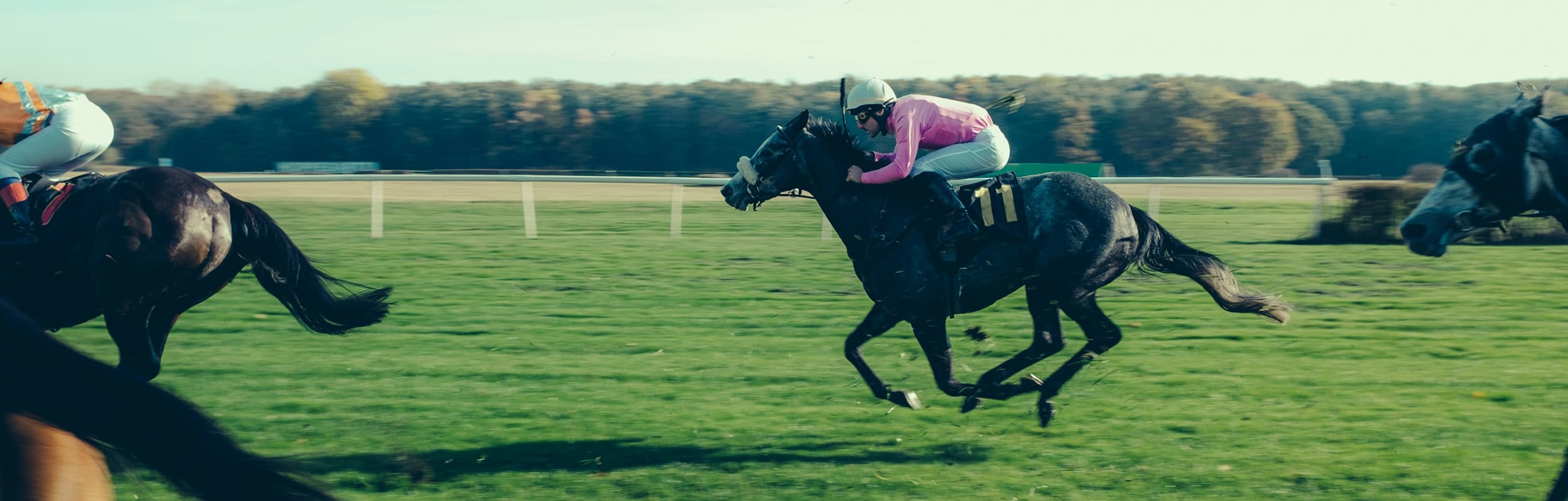 Partynice Racecourse