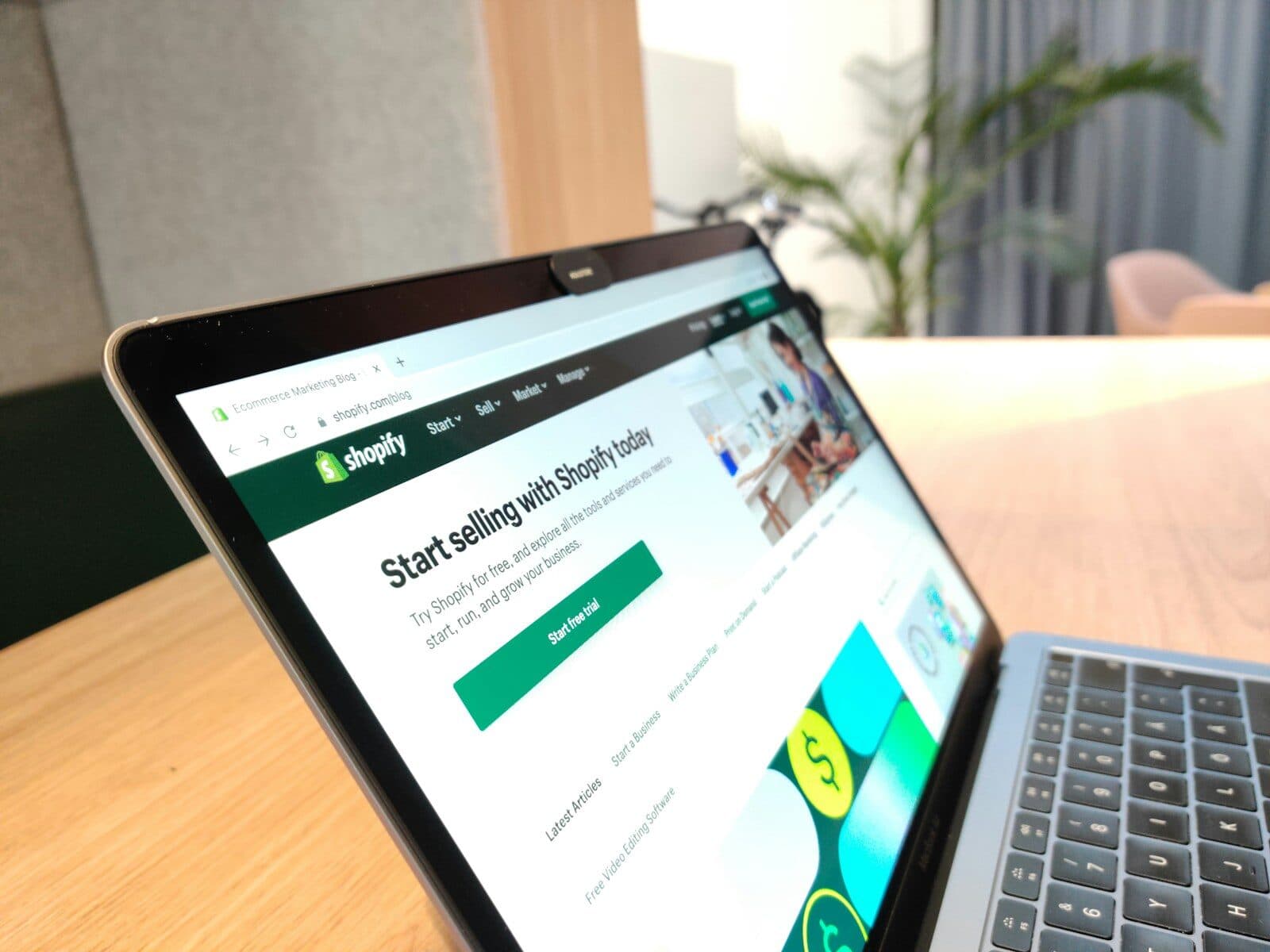 Ecommerce brands