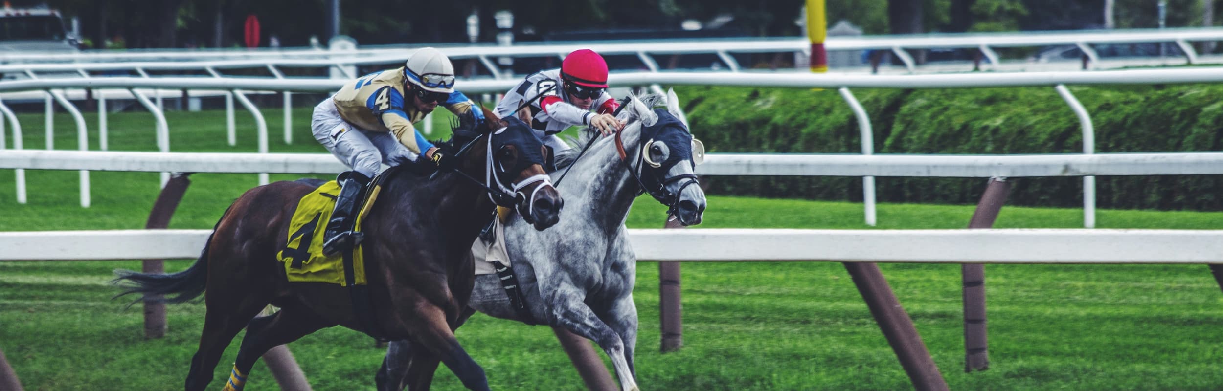 Live Horse Races